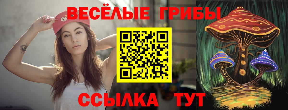 Псилоцибиновые грибы MAGIC MUSHROOMS  Вход с VPN  Егорьевск 